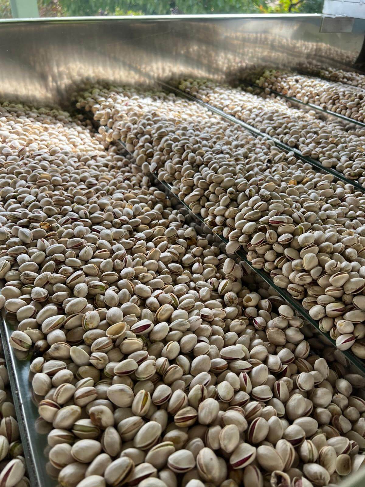 Pistachos naturales El Casón